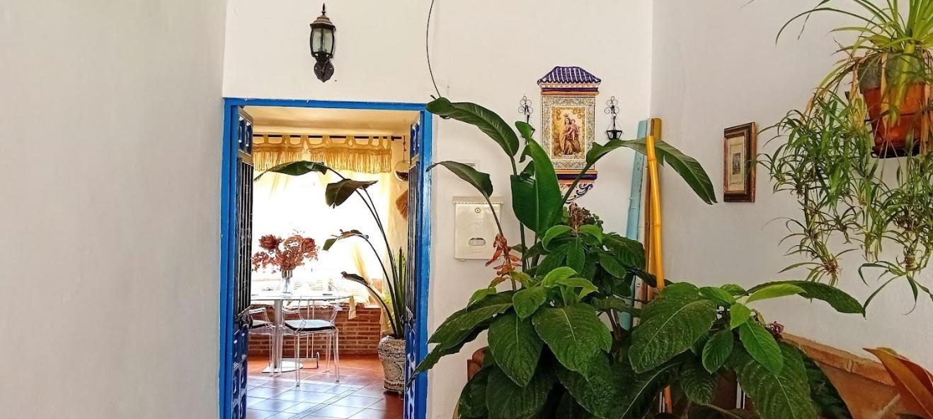Posada Puente Romano Sedella Zewnętrze zdjęcie